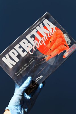 Изображение Северная креветка