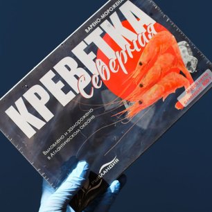 Северная креветка